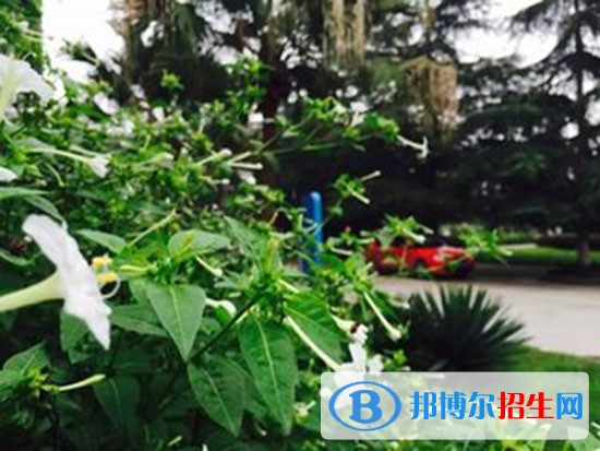 四川矿产机电技师学校电话，招生电话，招办联系电话