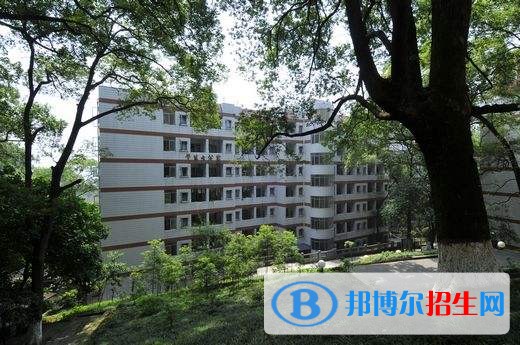 泸州中专学校学什么比较好