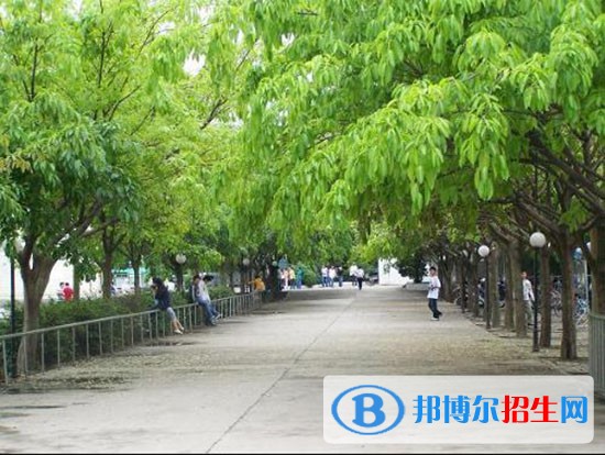 金堂实验中学是公办的吗，金堂实验中学学制