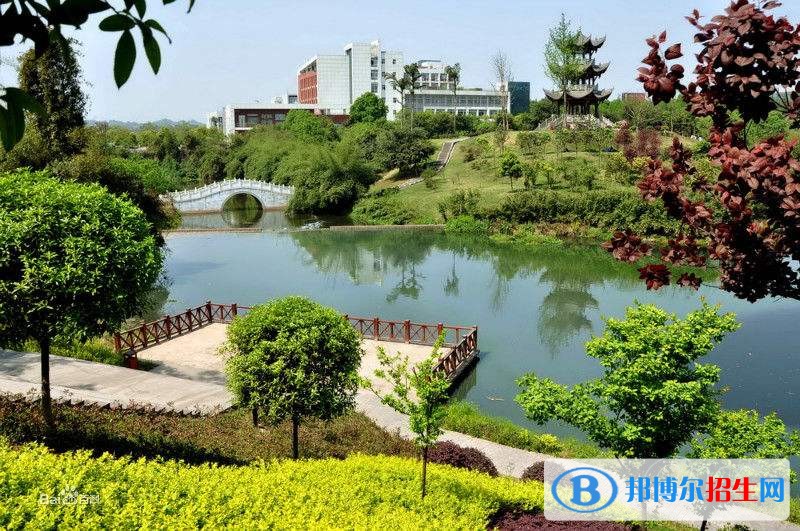 泸州哪里的中专学校比较好