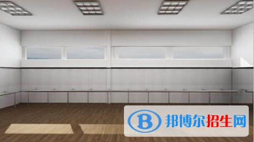 成艺附中报名要求，成艺附中招生电话