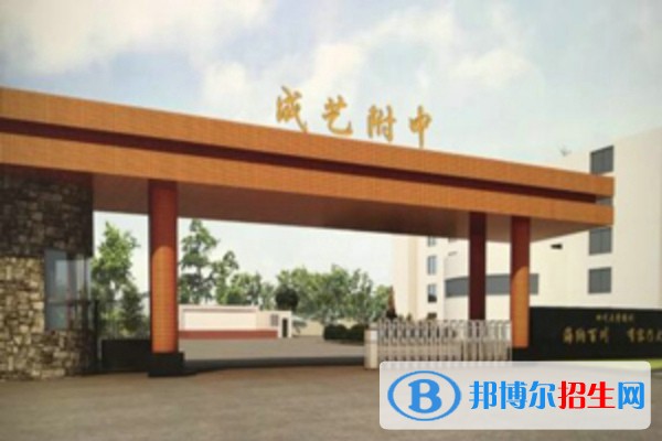 成艺附中招生时间，成艺附中文科需要多少分