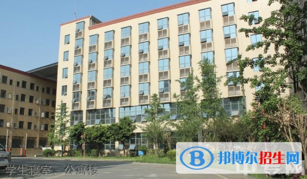 川大科技园职业技能学院有什么专业，学院怎么样