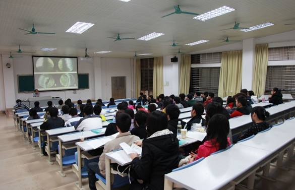教学活动 (3)