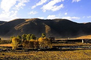 甘孜州卫生学校2025年【招生简章】