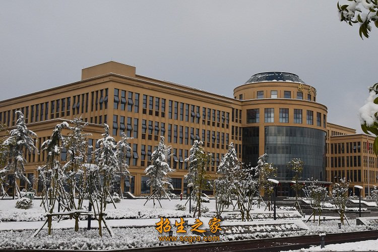 校园雪景 