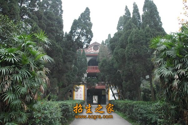 校园风景