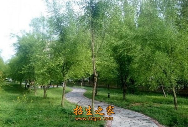 学校环境