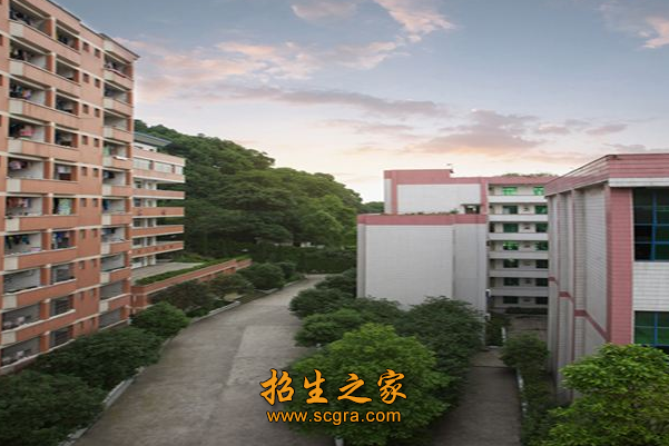重庆市南丁卫生职业学校