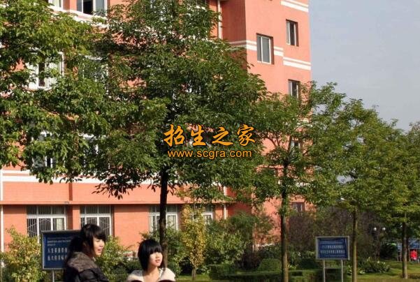 南充外事专修学院