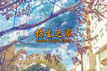 安顺市民族中等职业学校2020年汽车维修招生分数线