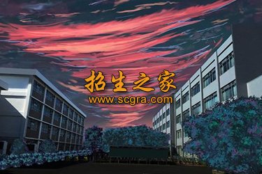 毕节医药高等专科学校2020年录取分数线